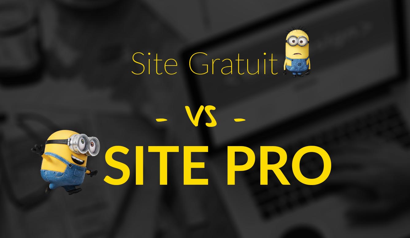 site gratuit vs site pro